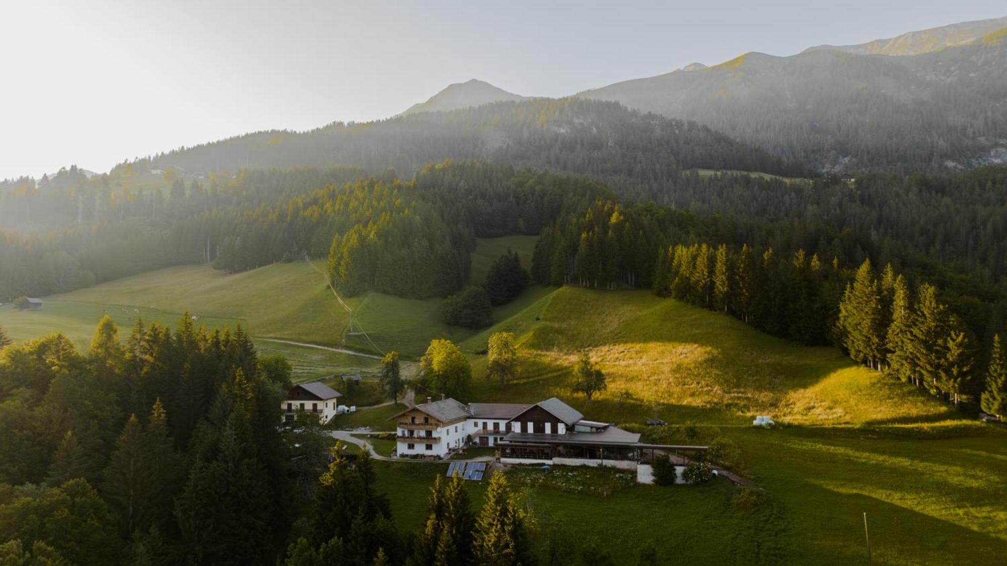 Bio-Bergbauernhof Weger Daire Dellach  Dış mekan fotoğraf