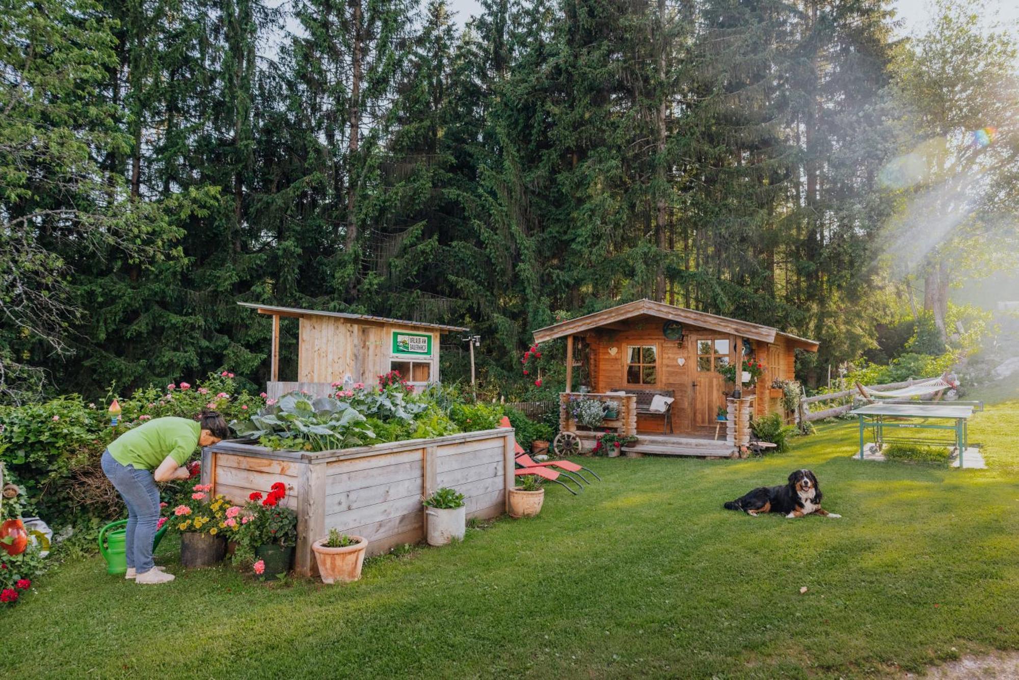 Bio-Bergbauernhof Weger Daire Dellach  Dış mekan fotoğraf