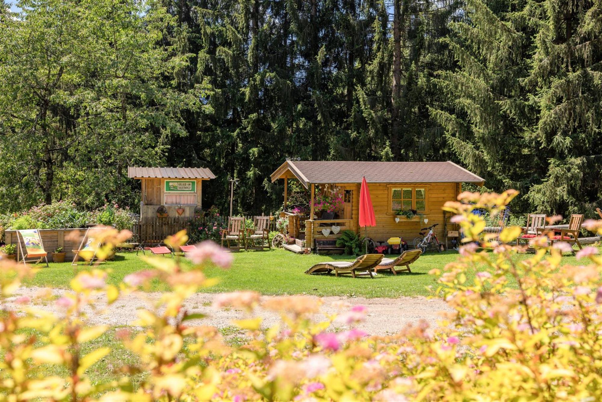 Bio-Bergbauernhof Weger Daire Dellach  Dış mekan fotoğraf
